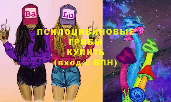 шишки Абдулино