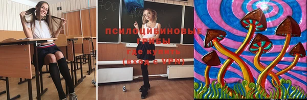 2c-b Абинск